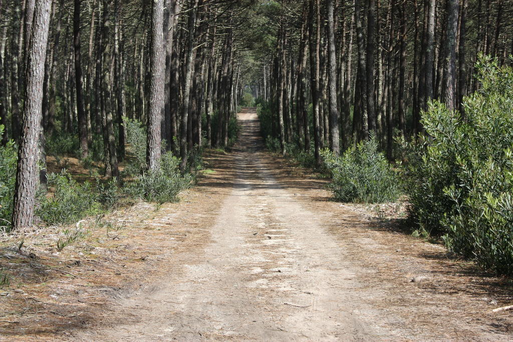 Pine Beach Residences Ovar Zewnętrze zdjęcie